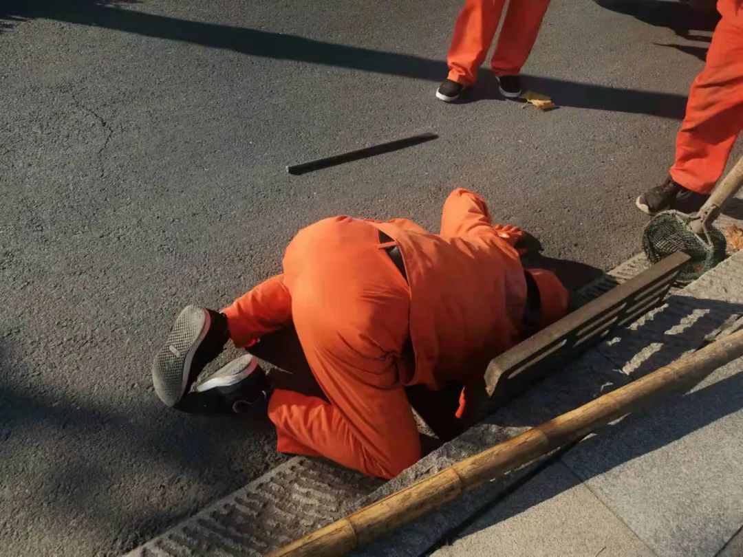 202307061706.jpg 202307061706.jpg