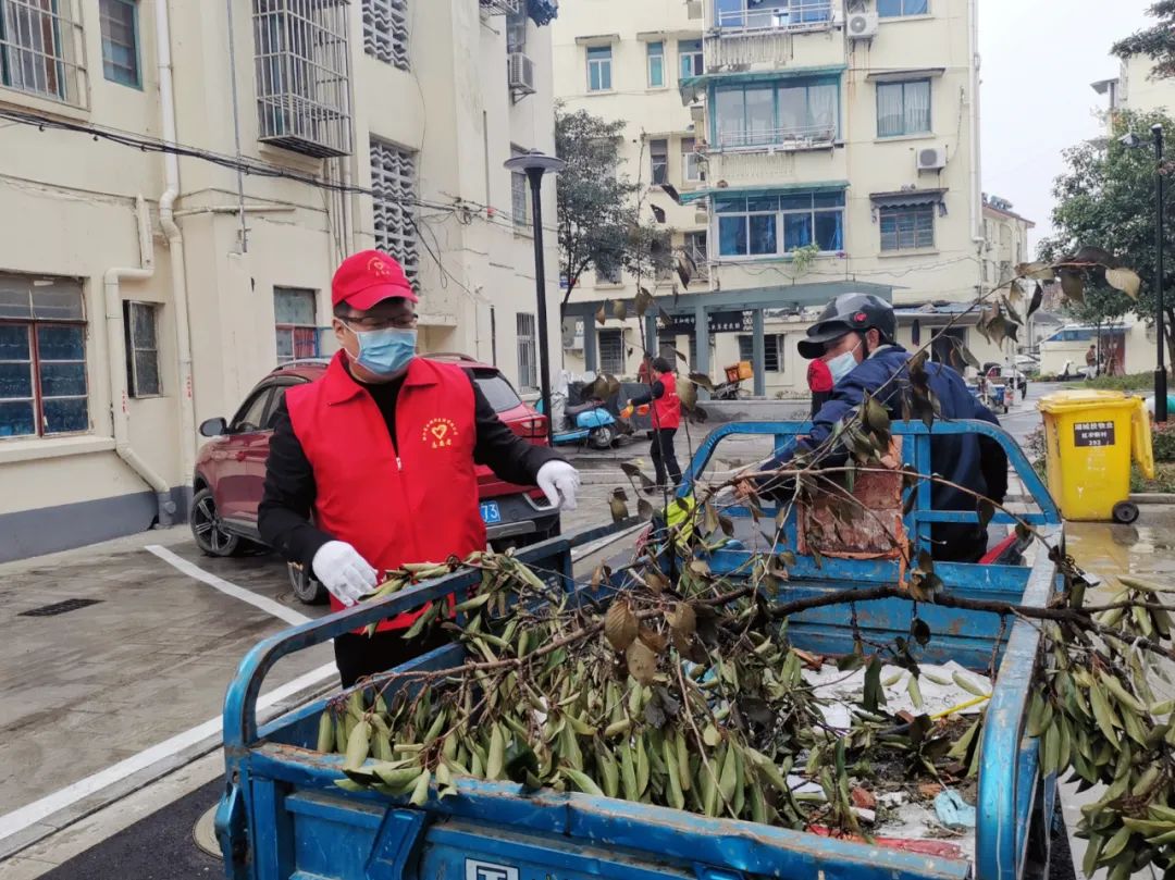 202307062006.jpg 202307062006.jpg