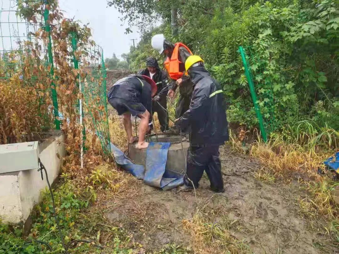 202307071406.jpg 202307071406.jpg