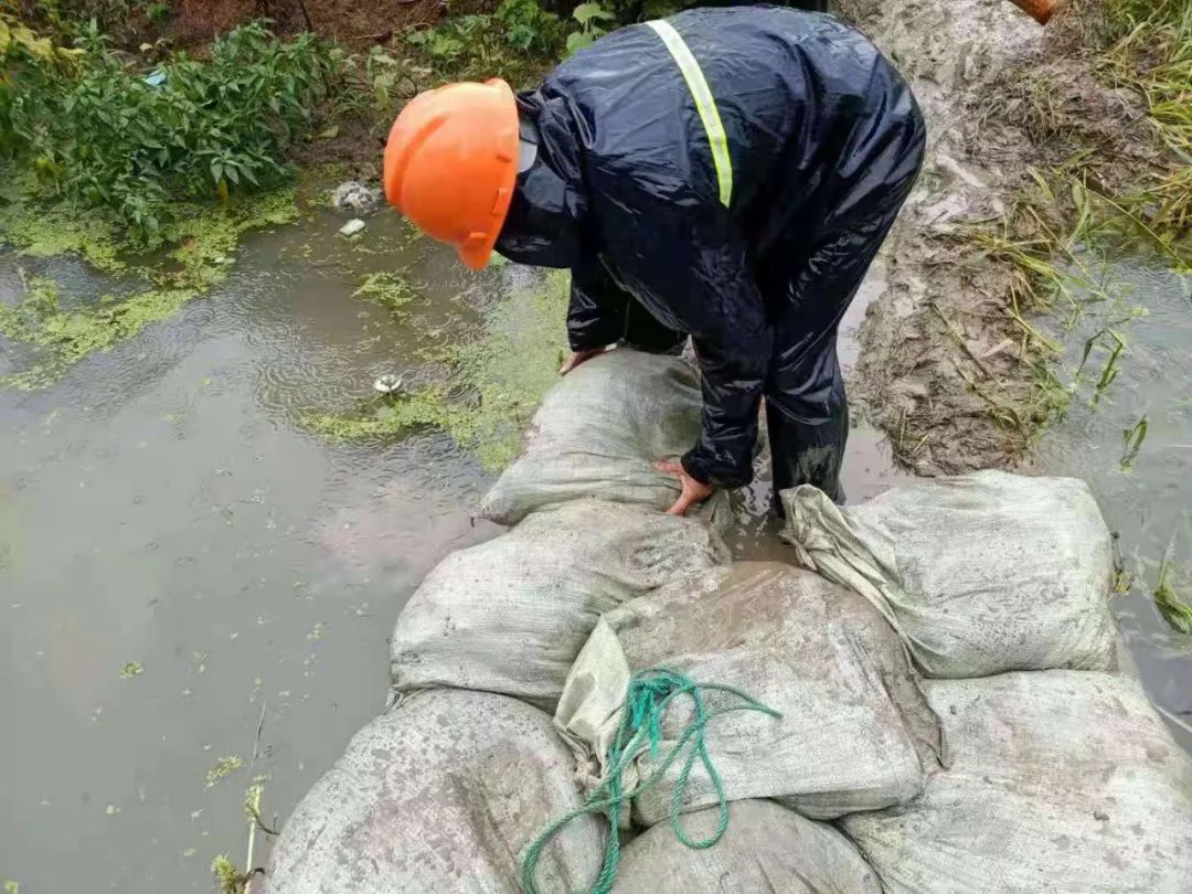 202307072772.jpg 202307072772.jpg