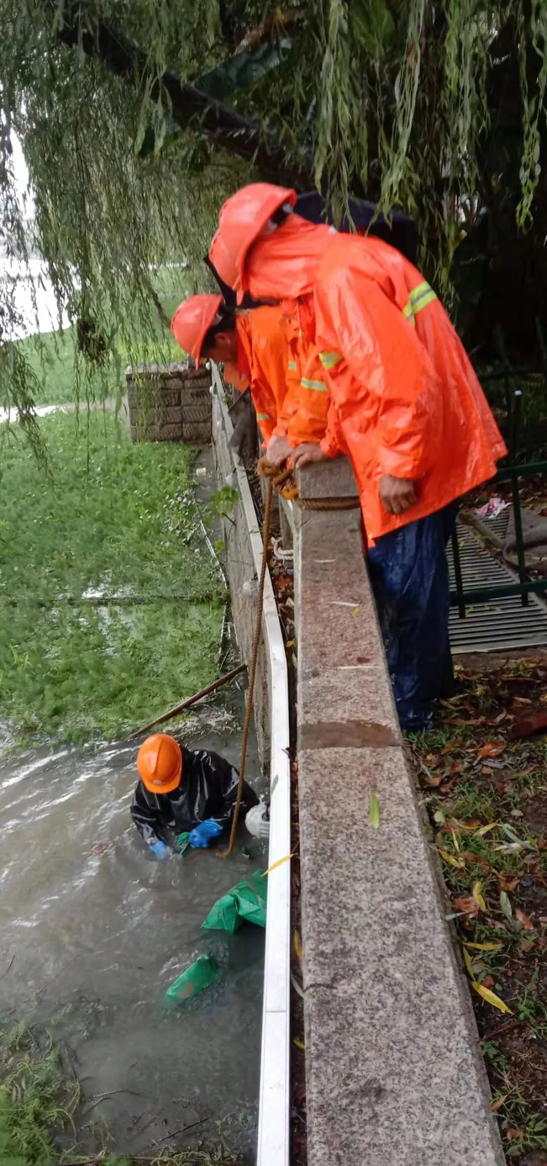 202307079550.jpg 202307079550.jpg